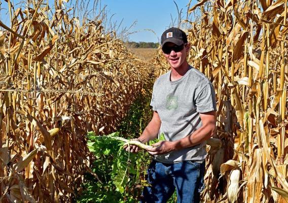 Project Participant Aarik Deering, of Postville, Iowa, will use his cover crops as winter forage for his cattle. 