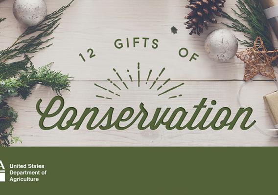 12 Gifts of Conservation image