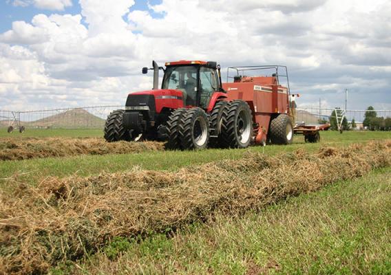 Tractor on hay field in Arizona&#039;s Cochise County