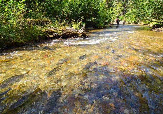 Stream on the remote village of Hoonah, located near the capital of Juneau in Southeast Alaska