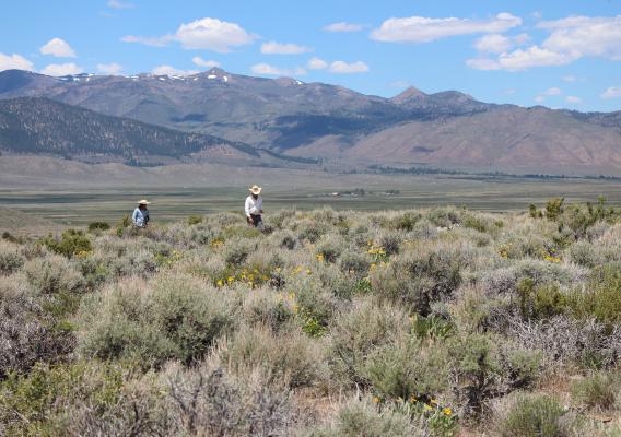 People in a field with mountains behind them