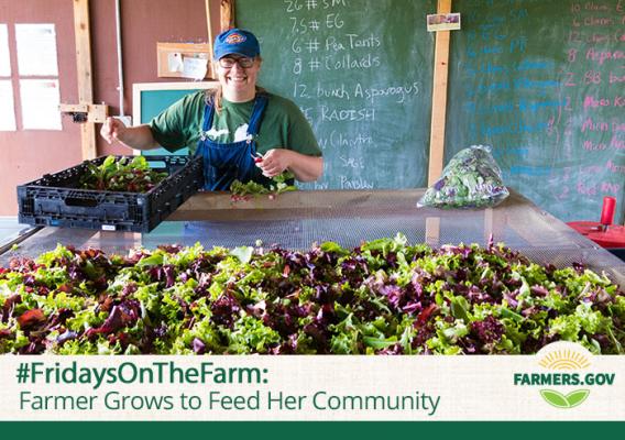 Baylee sorting and bagging leafy greens