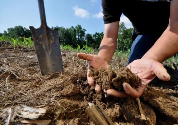 hands holding soil