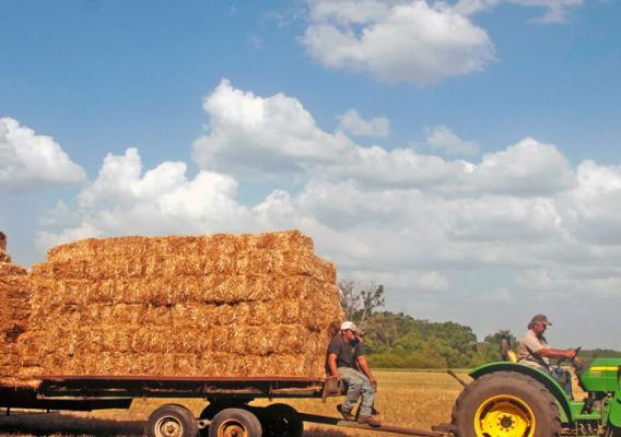 Field with farm equipment and bales of hay