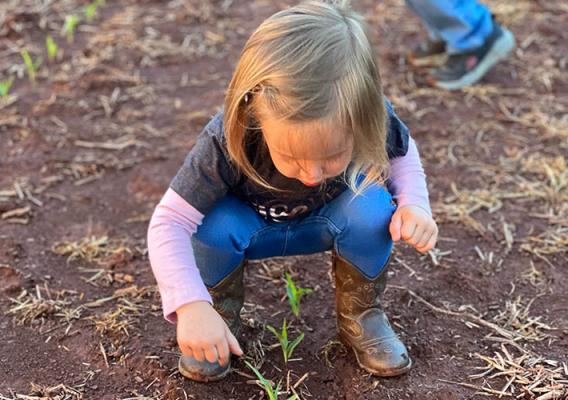 Small child bends down on farmland to check out the vegetation.