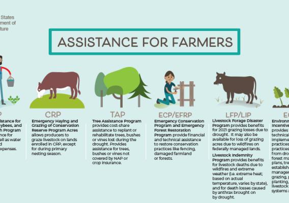 Assistance for Farmers