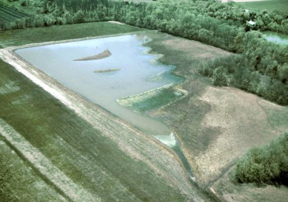 Aerial view a wetland in a green field surrounded by green trees. 