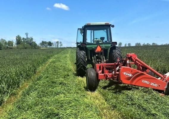 Red tractor mowing field