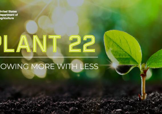 Plant 22 Growing More With Less title shown over green plants