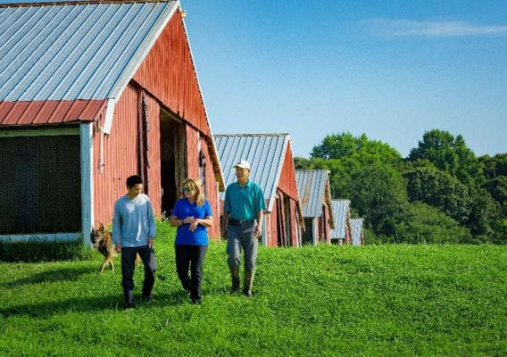 Three people and a dog walking in front of red barn