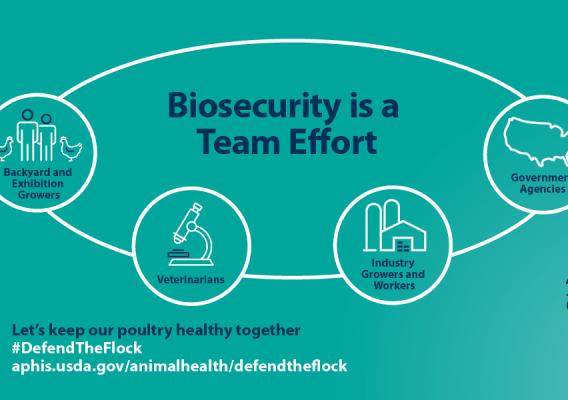 Biosecurity is a team effort graphic