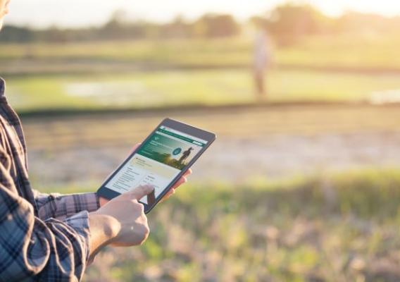 Person holding tablet in an open field