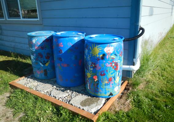 Blue rain barrels