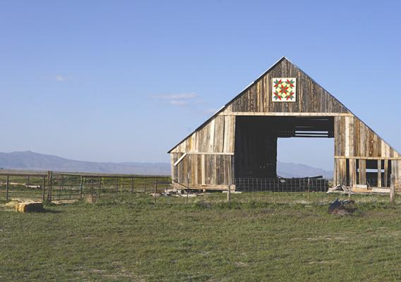 Barn sitting on grassland