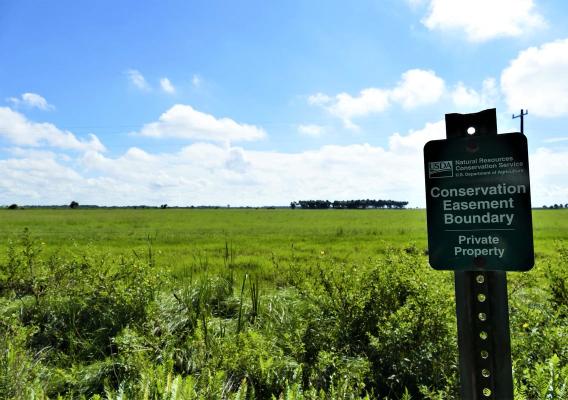 Conservation Easement Boundary sign in a pasture