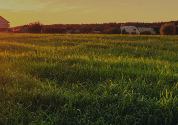 Sunset on grassy farmland with house in background