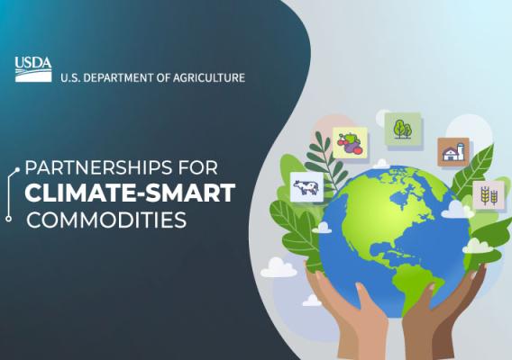 Graphic depicting partnership for climate smart commodities