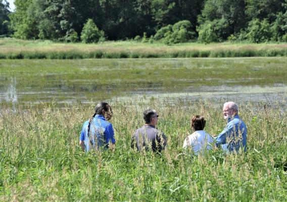 Four people walking in a field near a pond