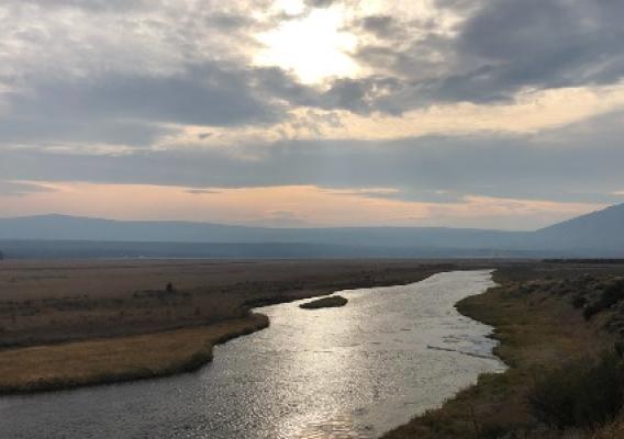 River running through pasture with sun reflecting on water