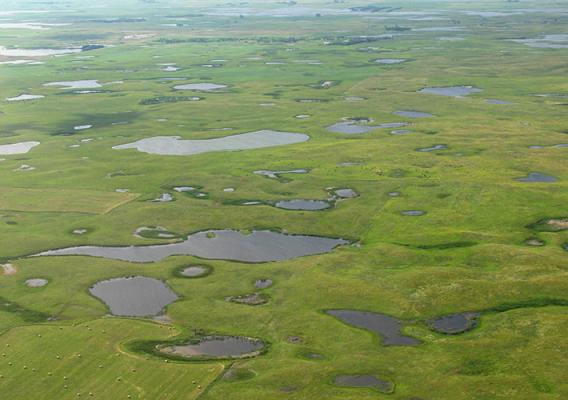 Aerial view of lush green land