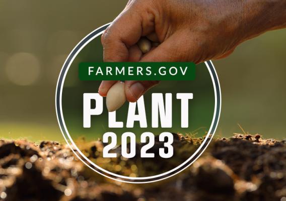 Plant 2023 Image