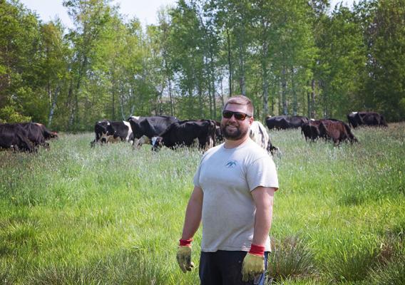 Person standing in front of cattle on lush green grass