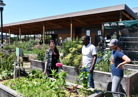 Three people standing on pathway within an elevated garden