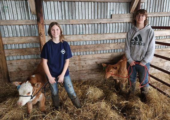 Two people standing in barn stall with two baby cows