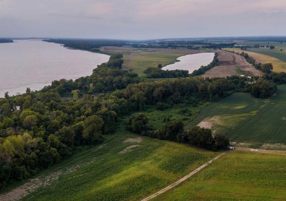 Aerial view of lush green landscape