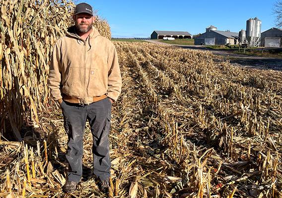 Person standing in corn field
