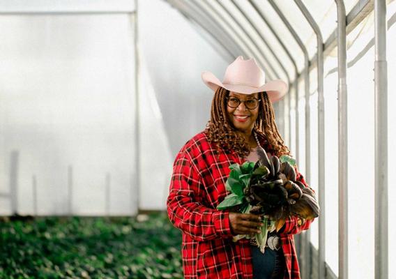 Person holding plant in high tunnel