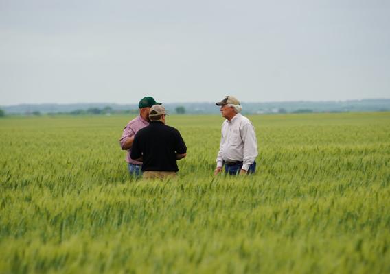 Two people kneeling in a field