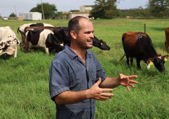 Person standing in a pasture near cows