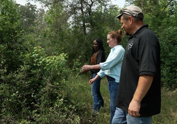 Three people inspecting a bush