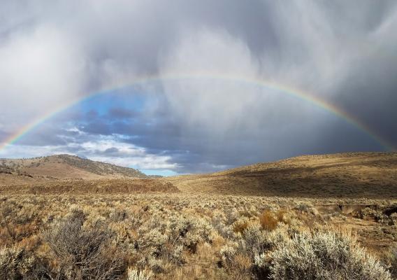 Landscape with a rainbow