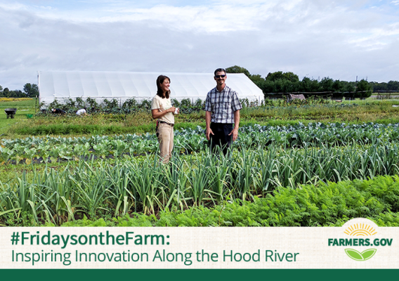 Sarah Longstreth owns Good Stead Farm, which is a source of fresh, local organic food in her community. 
