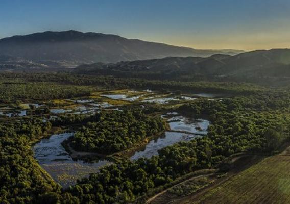 Sunrise over marshland