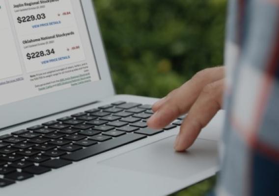 Laptop computer screen showing links and numbers