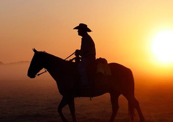 Silhouette of a man on a horse in front of sunset