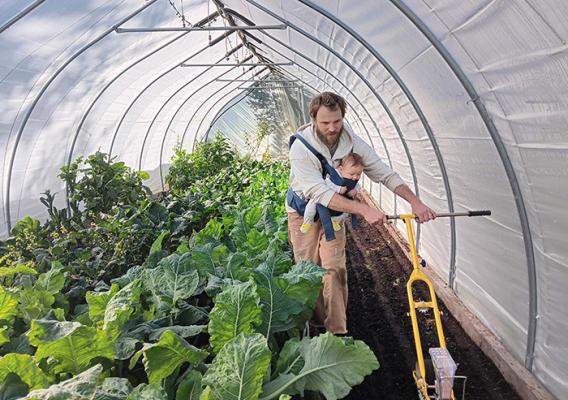 Person in a high tunnel with plants