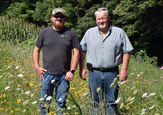 two people walking through flowers