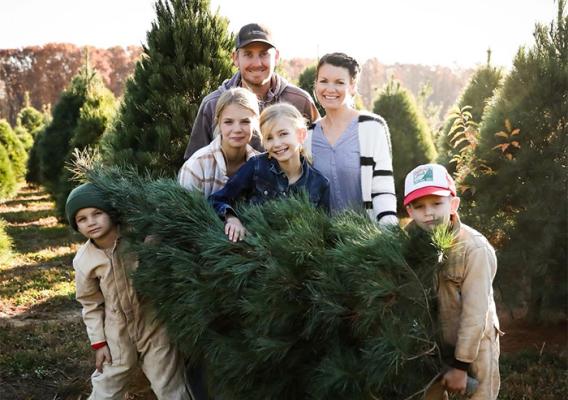 Six people holding a pine tree