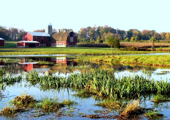 Barn overlooking wetlands