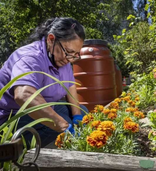 A woman works with flowers in an urban garden