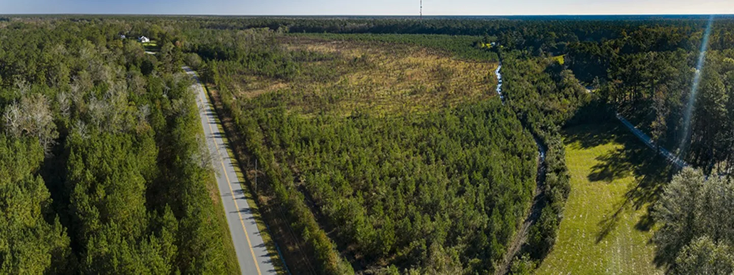 Aerial shot of forested land split by a road
