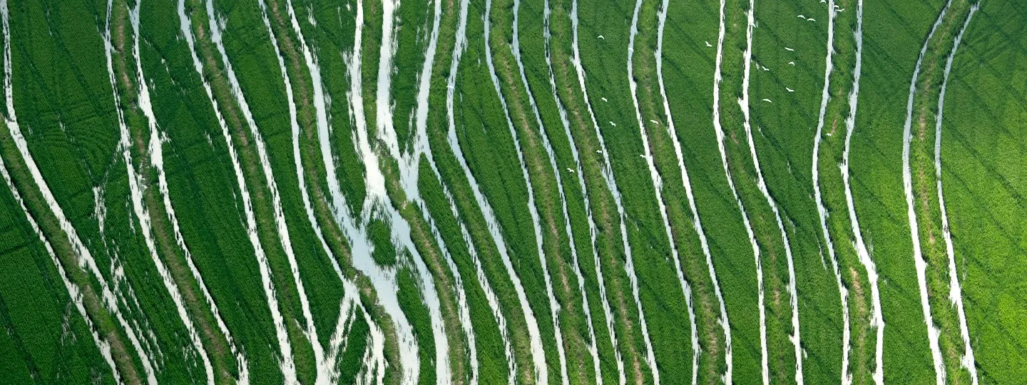 aerial view of water soaked land after a hurricane