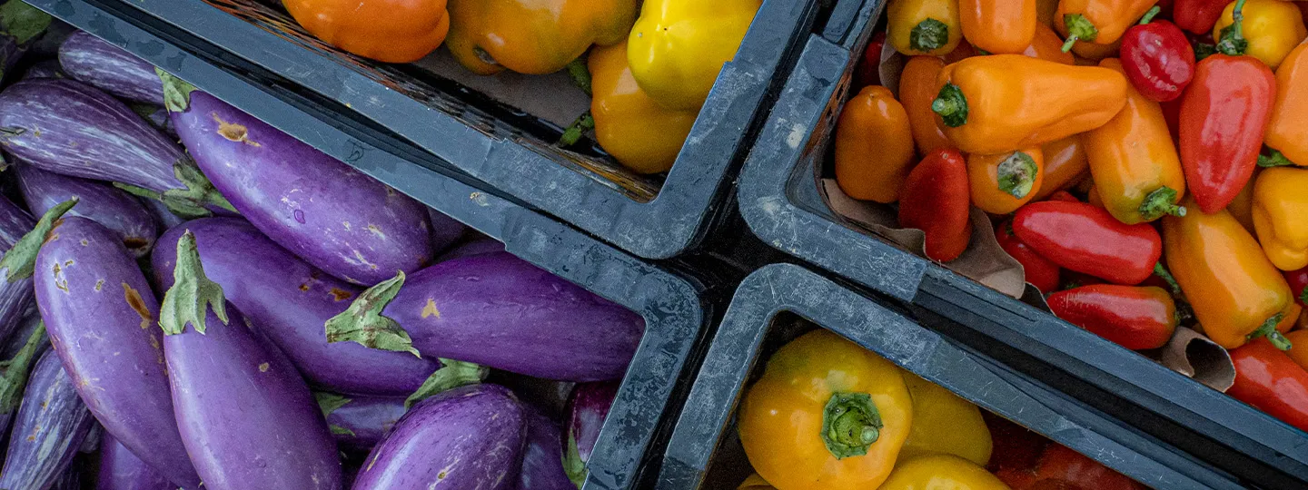 bins filled with brightly colored peppers and eggplants