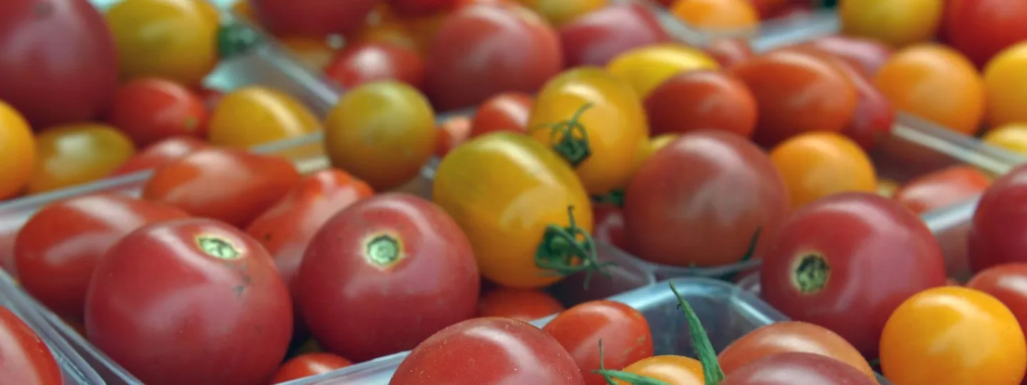 Yellow and red cherry tomatoes in containers