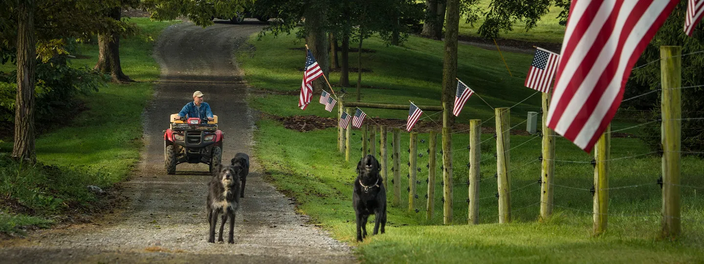 A man on an atv drives down a dirt road along with two black dogs. To their left is a fence with several American flags hung on it.