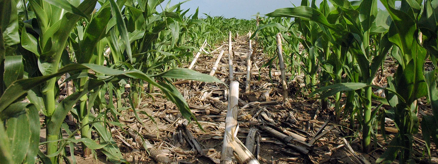 farmersgov-1440x540-home-path